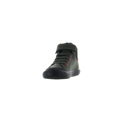 Geox bottine groen