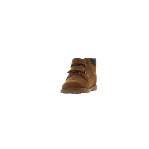 Falcotto klever bruin