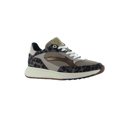 Floris Van Bommel casual taupe