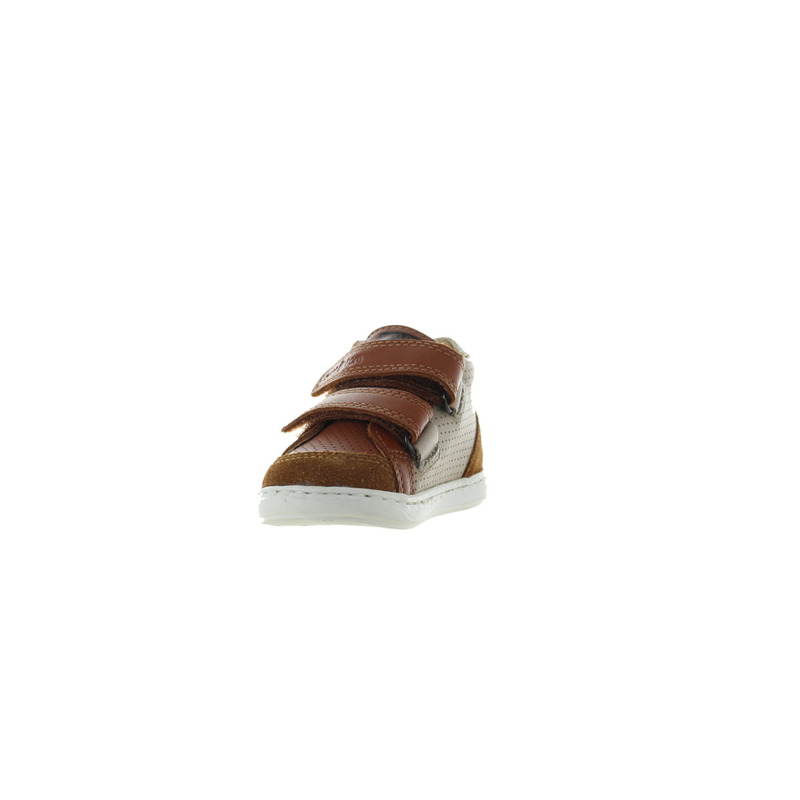 Shoo Pom klever camel
