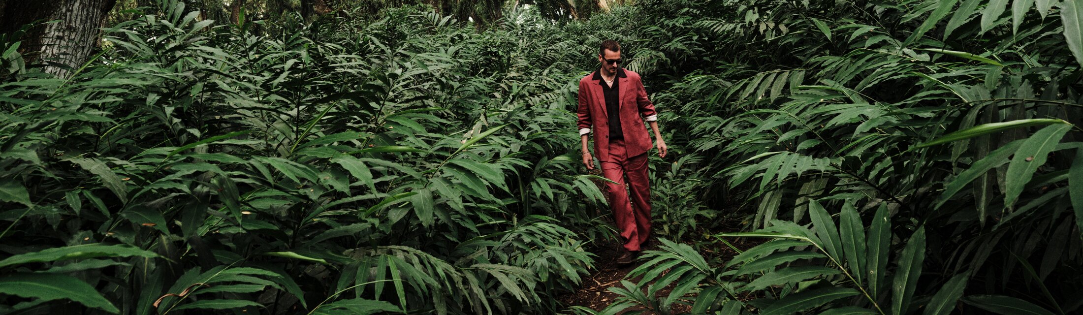 Treed op met klasse, kies voor comfort