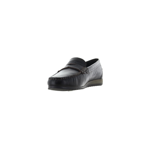 Ara mocassin bruin