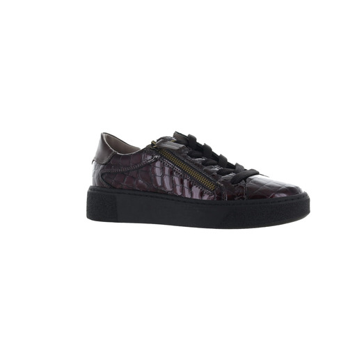 Dl Sport casual bruin