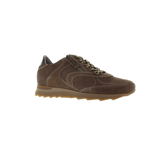 Dl Sport casual bruin