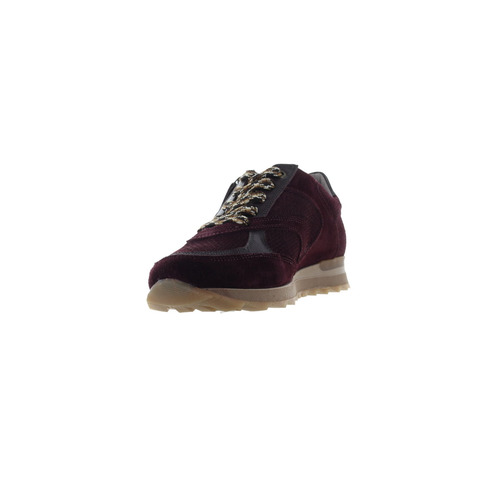 Dl Sport casual taupe