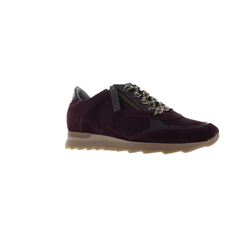 Dl Sport casual taupe