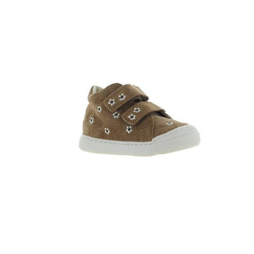 Falcotto klever bruin
