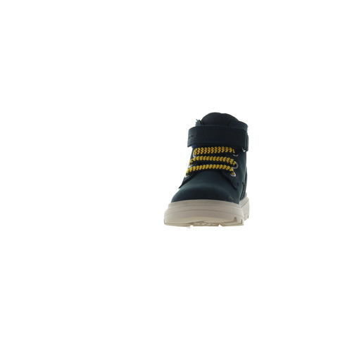 Geox bottine blauw